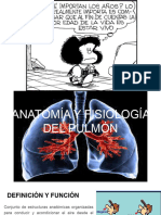 Anatomía y Fisiología Respiratorio - APH