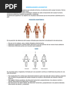 Abrir Anatomía Era 1 Locomotor 36