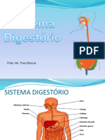 Aula Sistema Digestório 2