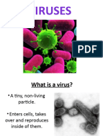 Viruses