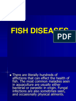 Fish Diseases