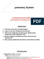 0401 Histo Lecture