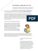 Consumo de Alimentos y Etapa Del Ciclo Vital