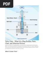 Valve Trims