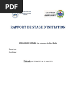 Rapport de Stage D'Initiation