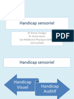 Chapitre 4 - Handicap Sensoriel