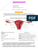 Trabajo Práctico Sistema Reproductor Femenino