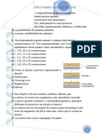 4 Exercícios Meiose Mitose