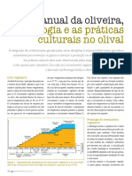 Olivicultura o Ciclo Anual Da Oliveira