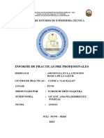 Informe de Prácticas Puno - 2023 Ii