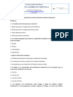 DIAGNOSTICO Decimo - Docx CCNN