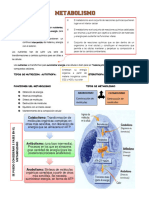 Metabolismo Celular