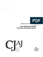 INDICE WEB Manual de Procesal Penal