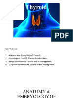 Thyroid Anatomy