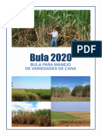 BULA DE VARIEDADES 2020 - v2