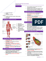 Muscular System - Part 1 (BSN - 1F)