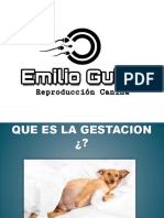 Parte 2. Gestación y Parto