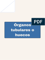 Órganos Tubulares o Huecos