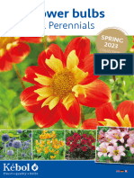 Kebol Spring 2023 Flower Bulbs and Perennials