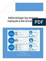 Methodologie Sap Activate - Type de Projets