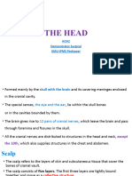 Anatomy II Lec 21 (Skull)