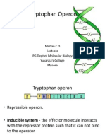 TRP Operon