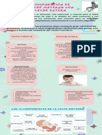 Infografía Leche Materna