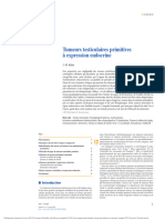 Tumeurs Testicule À Expression Endocrine