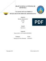 Ensayo de La Autonomia Municipal - Dominique Flores