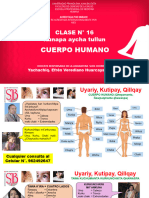 Clase 15 - Cuerpo Humano y Enfermedades