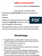 Enterobius Vermicularis - 2023