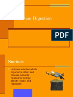 Human Digestion1