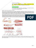 RESUMEN FISIOLOGIA 1 Examen