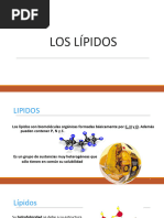 Lipidos