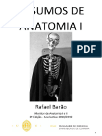 Adolfo - Anatomia I