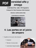 Ley de Amparo Diapositivas 5, 6 y 7