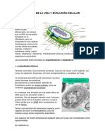 TEMA 1 (Corregido)