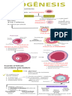 Resumen Ovogenesis