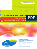 Addictologie L Intelligence Emotionnelle