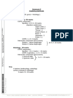 Practical Exam Pattern Anatomy