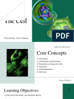 Cell Theory Structure