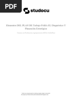 Elementos Del Plan de Trabajo para El Diagnostico y Planeacion Estrategica