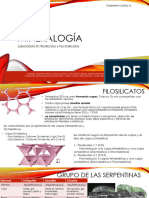 Mineralogía Lab 8. Filosilicatos y Tectosilicatos