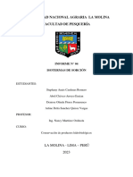 Informe4 - Isotermas de Adsorción - Cardenas - Chávez-Arroyo - Flores & Sanchez