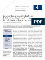 The Pulp, The Root-Treated Tooth and The Crown