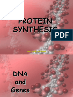 Protein Synthesis2