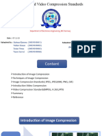 Image and Video Compression Standards.4