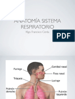 Sistema Respiratorio