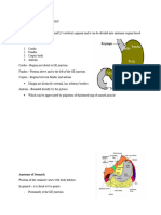 GCP - Anatomy and Physiology