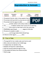 Science Worksheet Reproduction in Animals Class 4 A